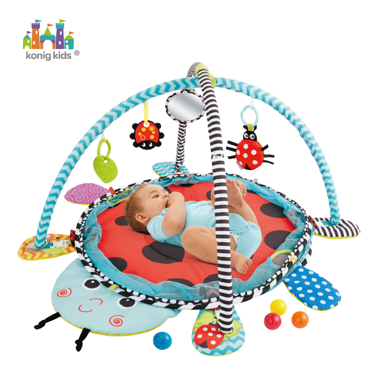 ���� ������ ���������� 3�1  ����� ����� ������ ������� ������ 30 ������ konig kids