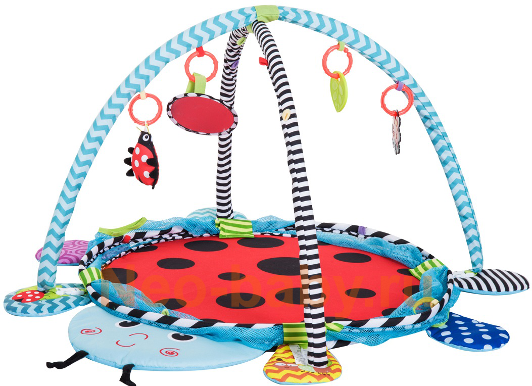 ���� ������ ���������� 3�1  ����� ����� ������ ������� ������ 30 ������ konig kids