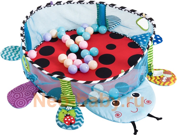 ���� ������ ���������� 3�1  ����� ����� ������ ������� ������ 30 ������ konig kids