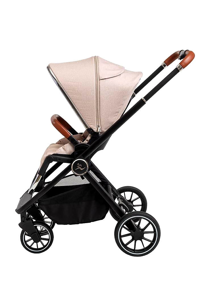 CIELO PRO 2022- ���� ���� ��� sport line