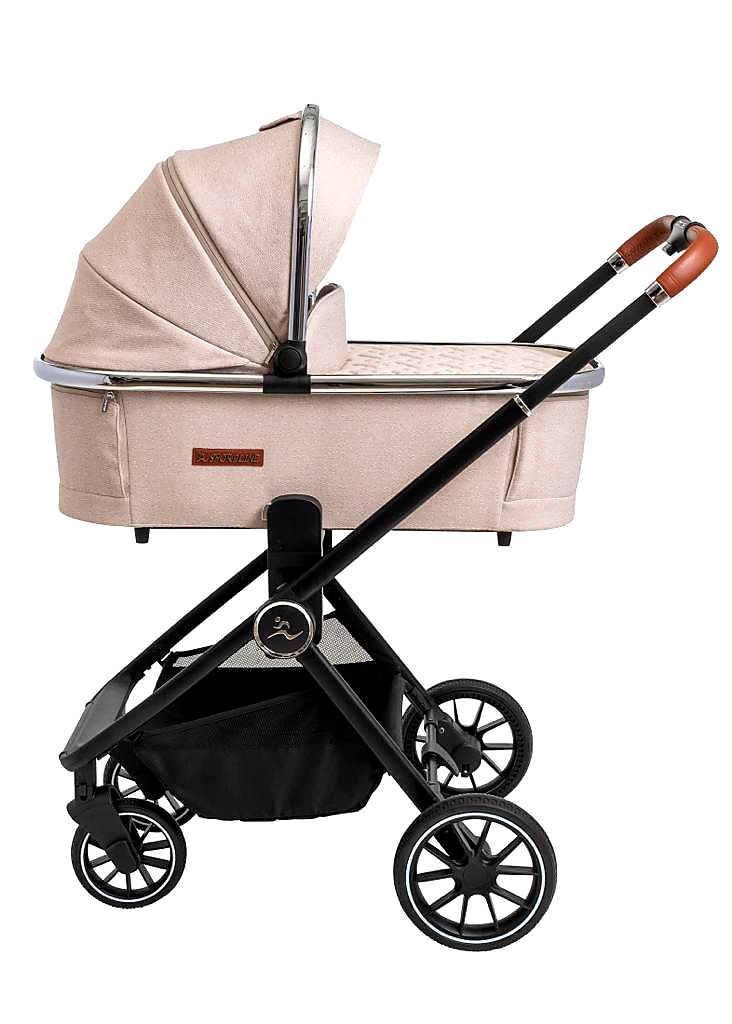 CIELO PRO 2022- ���� ���� ��� sport line