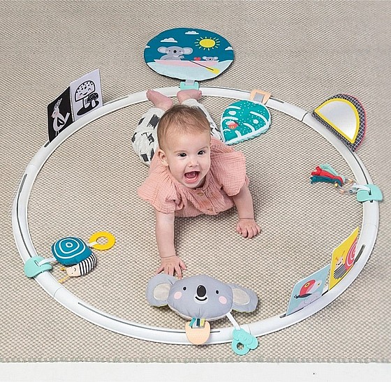 ���� ������ "��� �����" 3 ���� ������� � 24 �������� Taf Toys