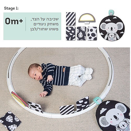 ���� ������ "��� �����" 3 ���� ������� � 24 �������� Taf Toys