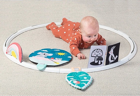 ���� ������ "��� �����" 3 ���� ������� � 24 �������� Taf Toys