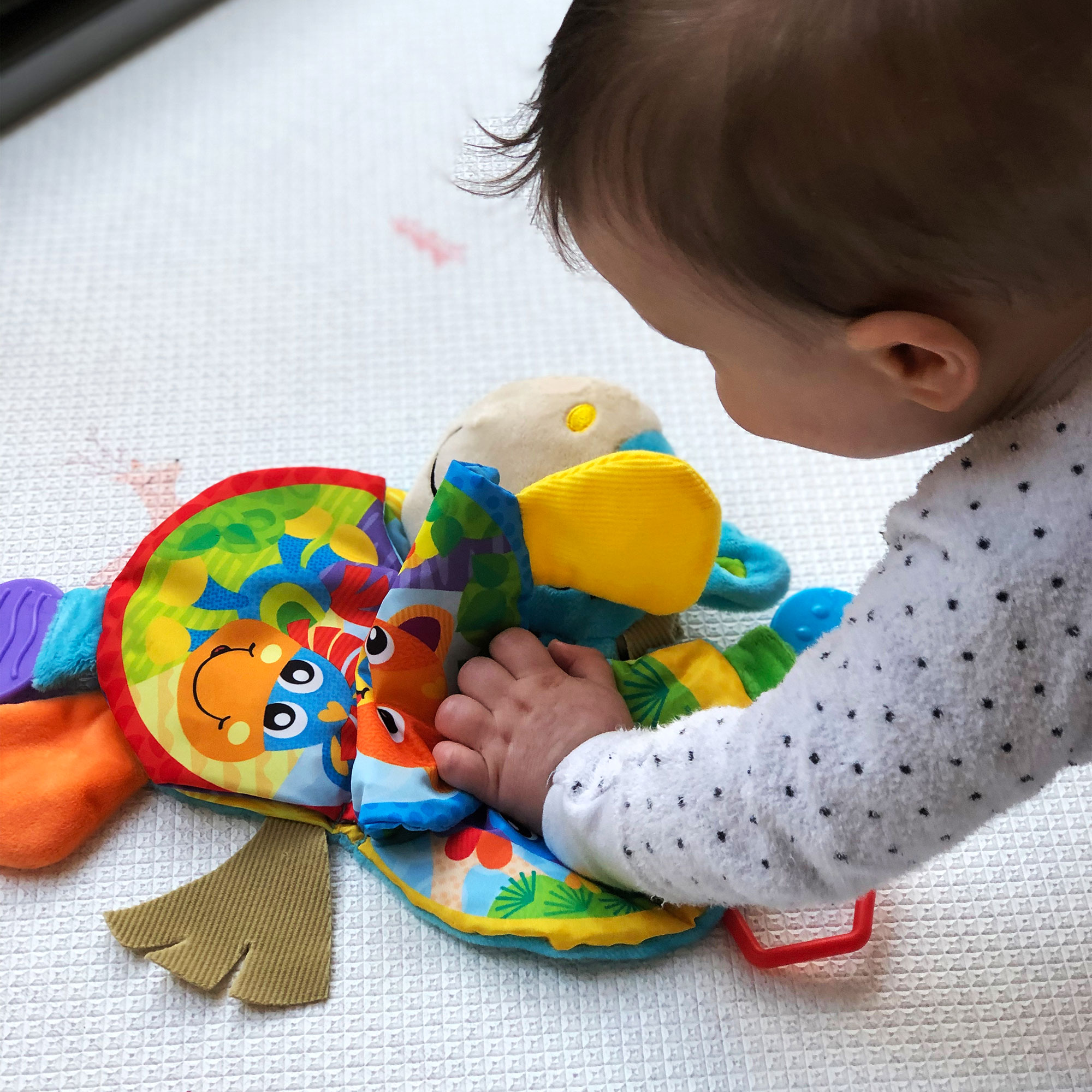 ���� ������� ��� ������ playgro