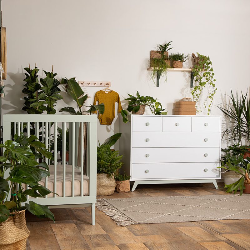 ���� ���� ����� - ��� ����� - Segal Baby