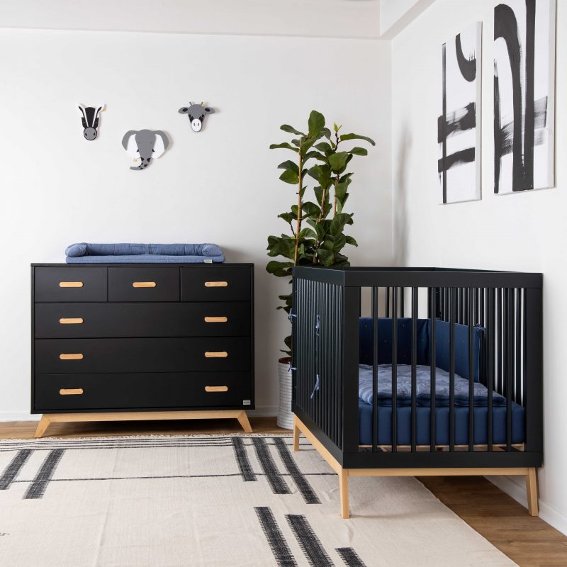 ���� ����� ���� - ��� ����� - Segal Baby