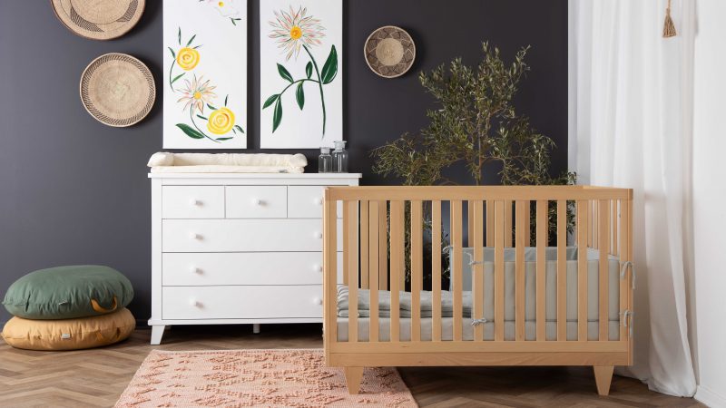 ���� ������� ����� - ��� ����� - SEGAL