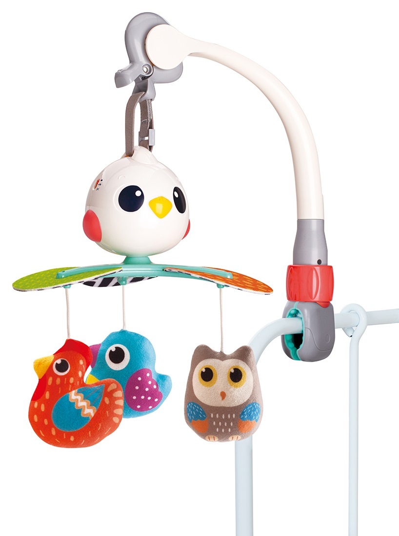 ������ ������� ���� ���� SMART KIDS