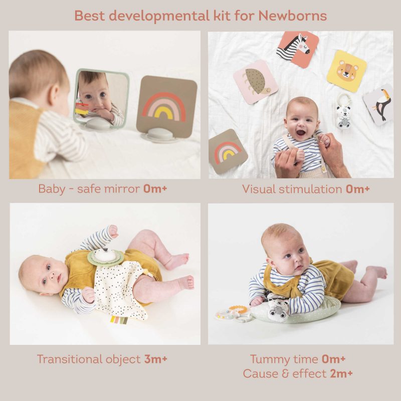 �� ����� ������ ����� ������� - taf toys