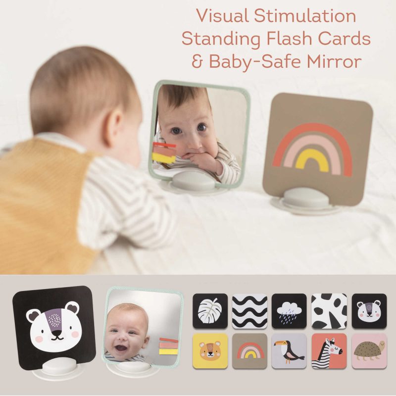 �� ����� ������ ����� ������� - taf toys