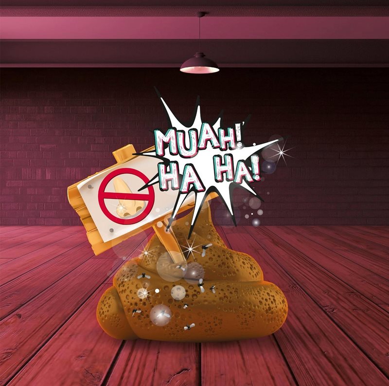 ��� ����� ������� - 13 �������