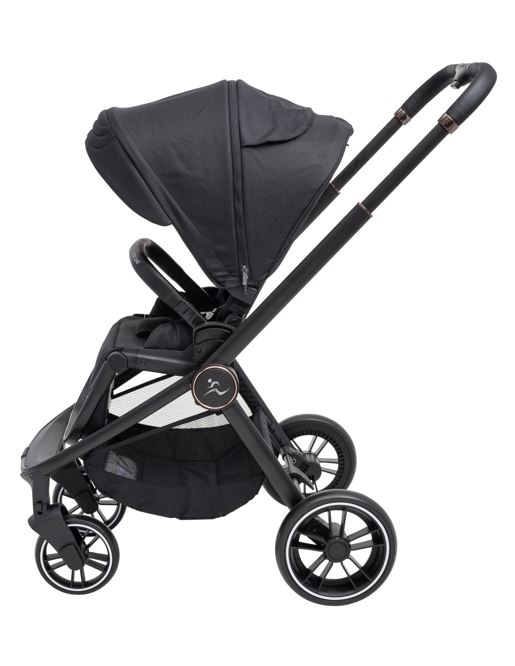 CIELO XL-  sport-line - 2023 ���� ���