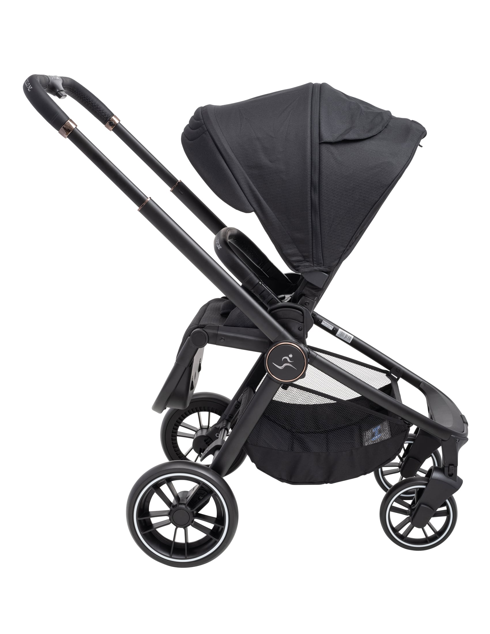 CIELO XL-  sport-line - 2023 ���� ���