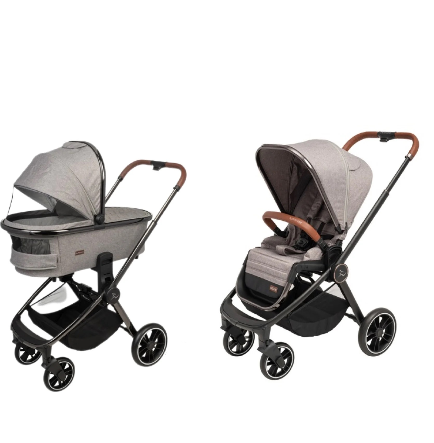 CIELO PL 2022 sport-line - ���� ���� ��� ����� ���� �����