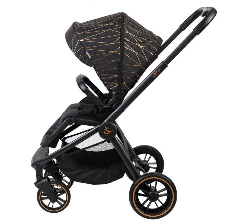 ���� ����� ��-������� ������ �����  CIELO XL ���� ���/��� ���� SPORTLINE 2019