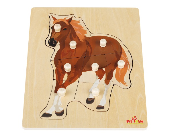 ���� ����� ���