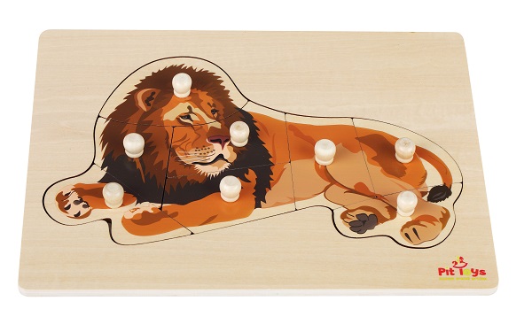 ���� ����� ����