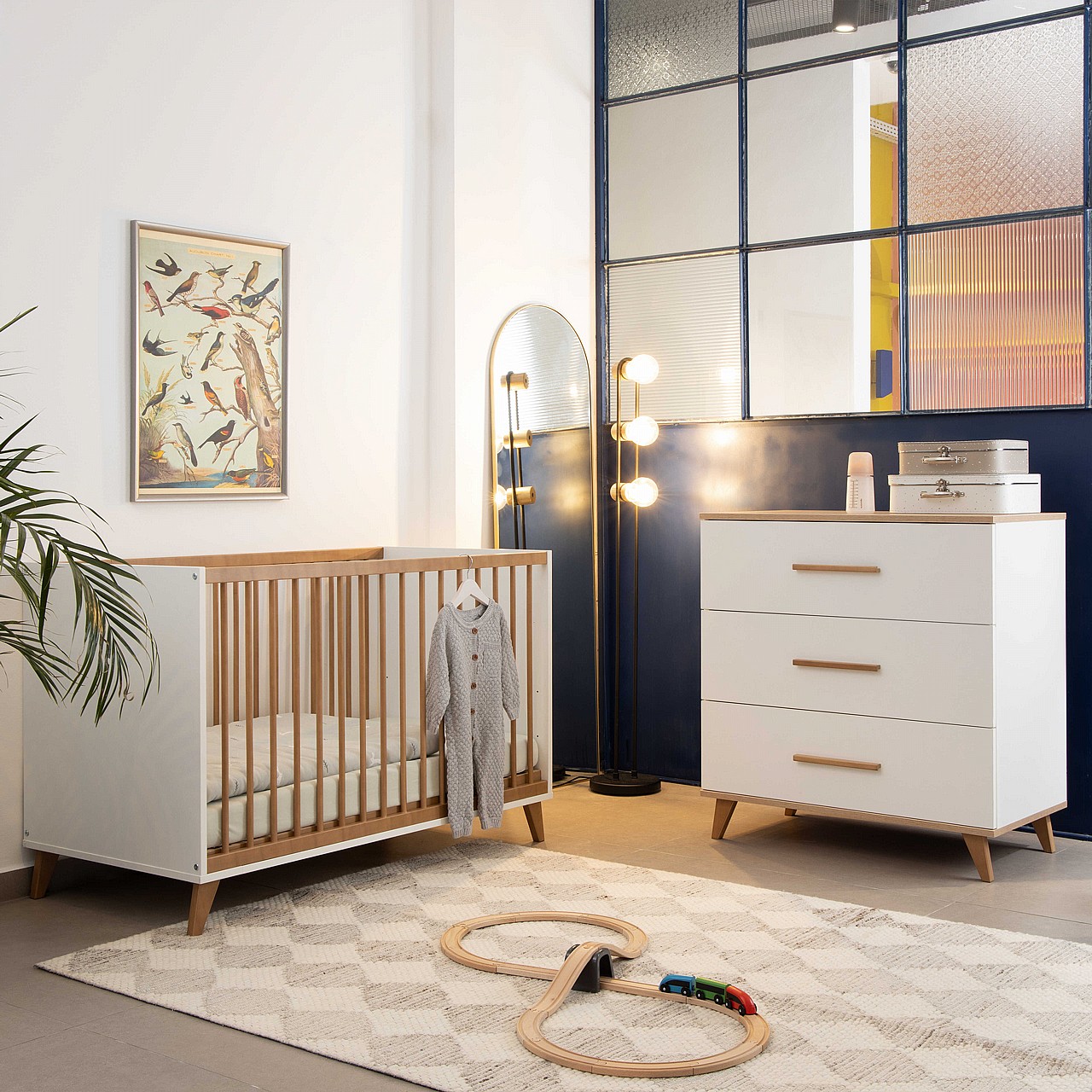 ��� ������� 120 - Segal ����� ���