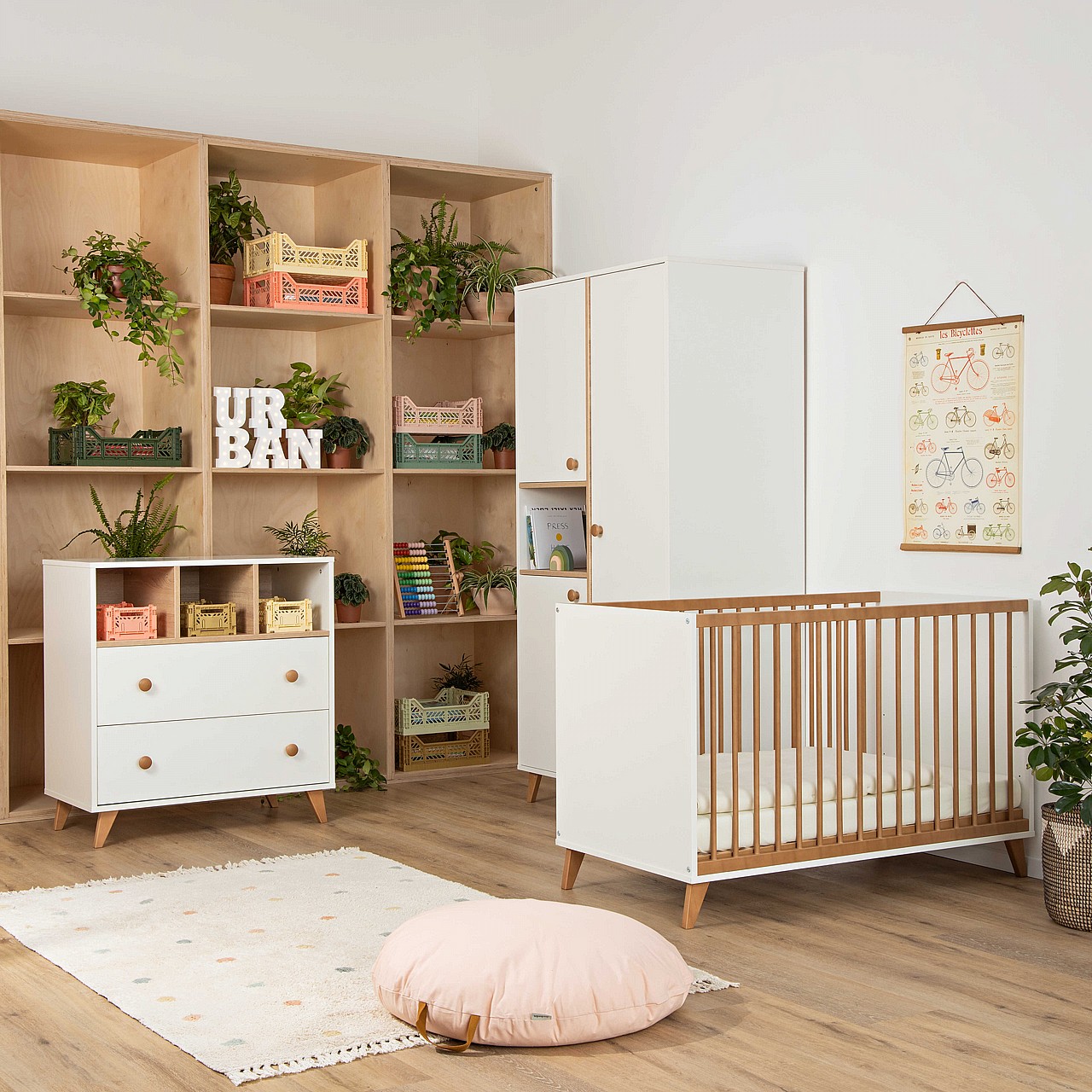 ��� ����� ��� 120  - Segal ����� ���