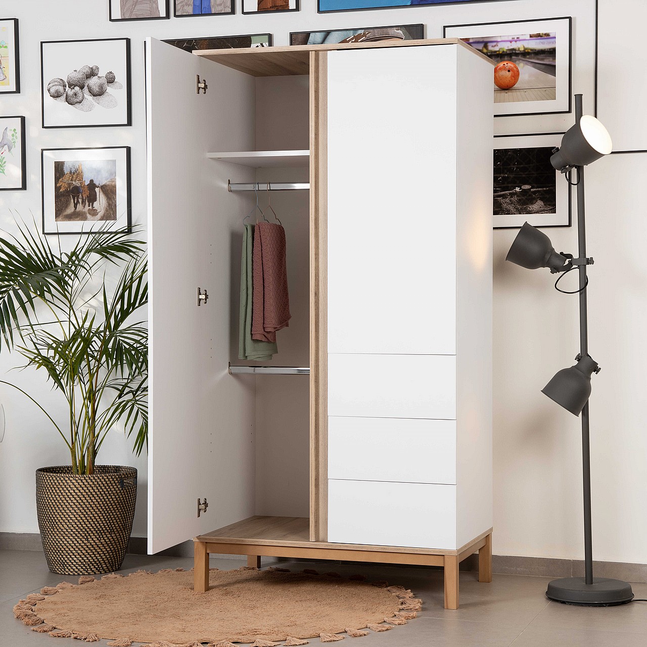 ��� ����� ��� 120  - Segal ����� ���