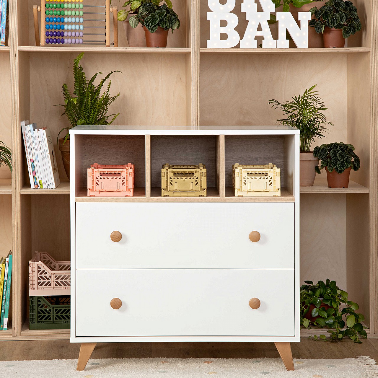 ��� ����� ��� 120  - Segal ����� ���