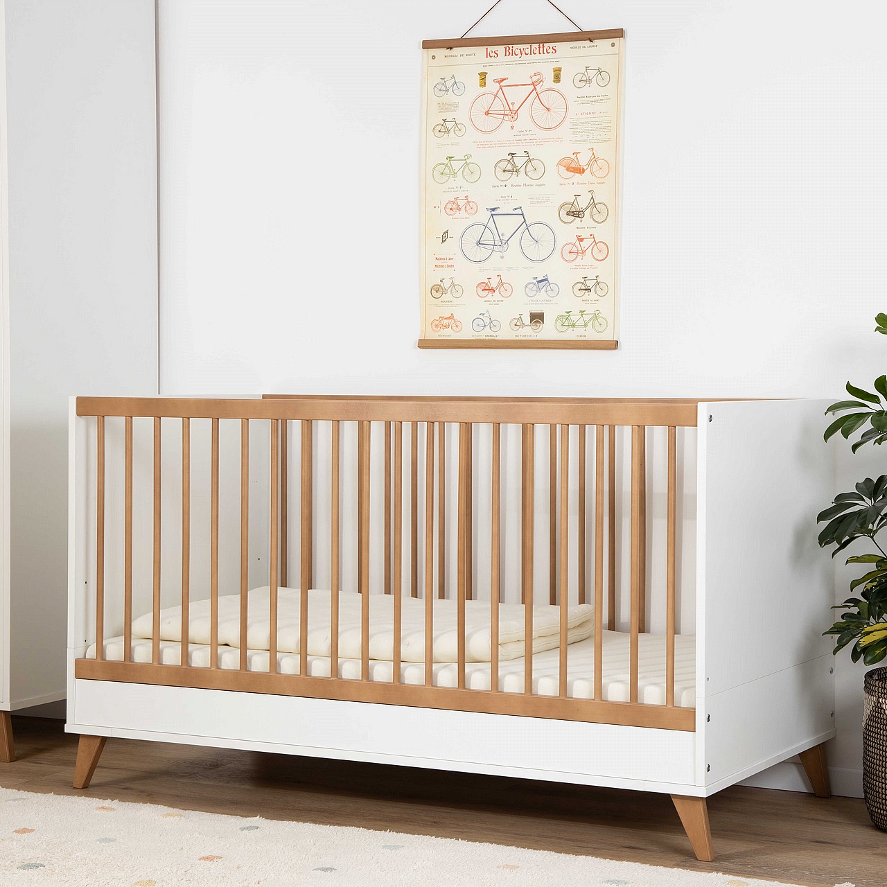��� ����� ��� 140  - Segal ����� ���