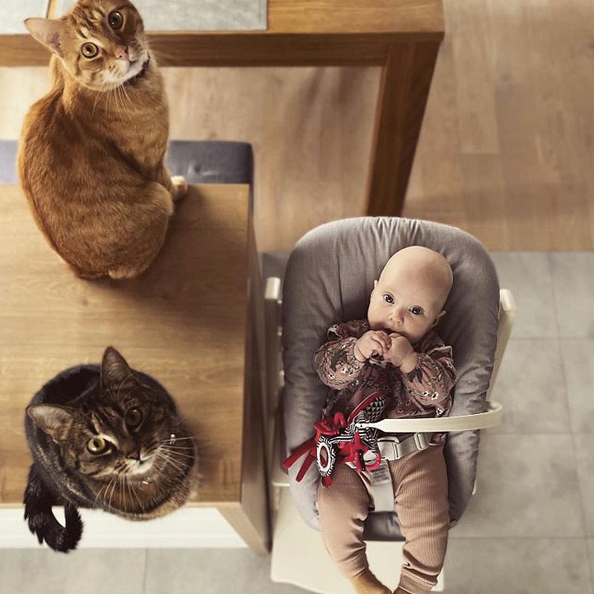 ���� ��������� ��� ���� ���� - STOKKE