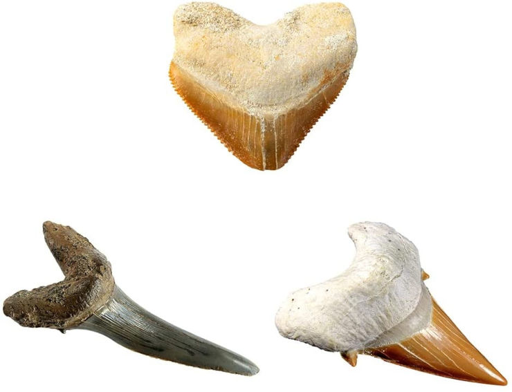 ��� ������: ���� ����� ������������ - ���� ���� - National Geographic