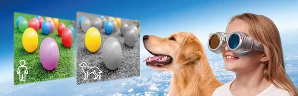 ����� �� ����� ������� ����� ' ���� ���������� '  Brainstorm