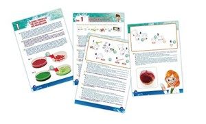 ����� �������� ���� ���� ���� Buki France