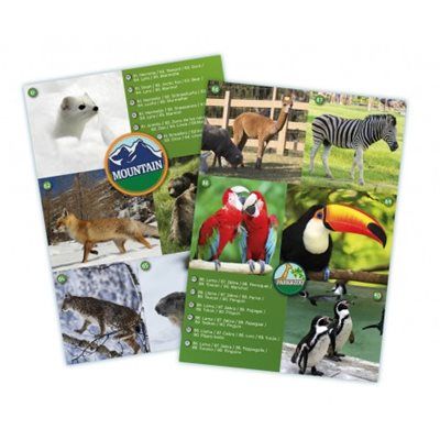 ����� �������� ���� ���� ���� Buki France