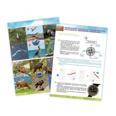 ���� ��� ���� ���� ���� ���� Buki France