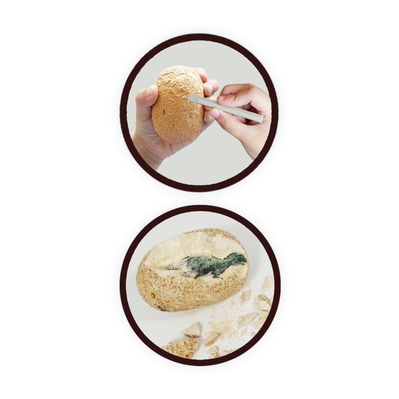 ��� ���� ����� - ���� �������� ���� ���� ���� Buki France