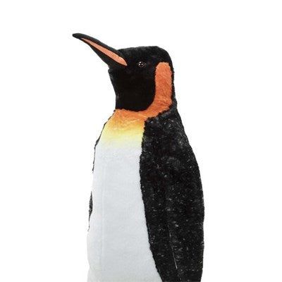 ���� �������� ����� ���� ����� ���� Melissa And Doug