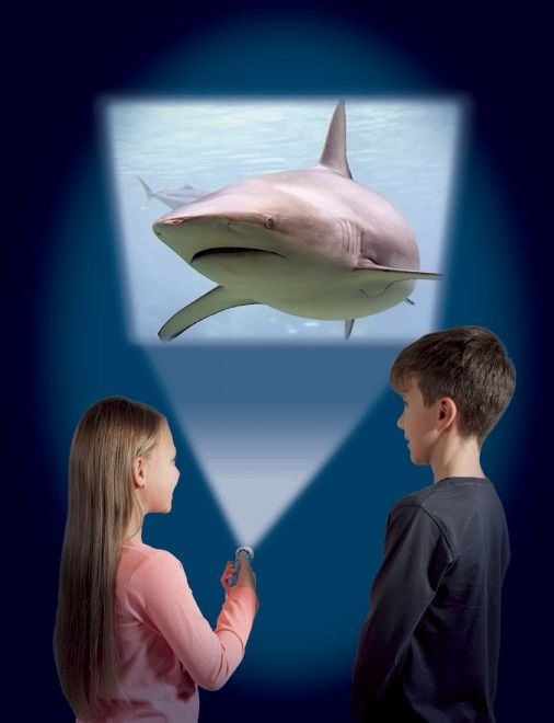 ��� ����� ������ ���� ���������� ������ Brainstorm