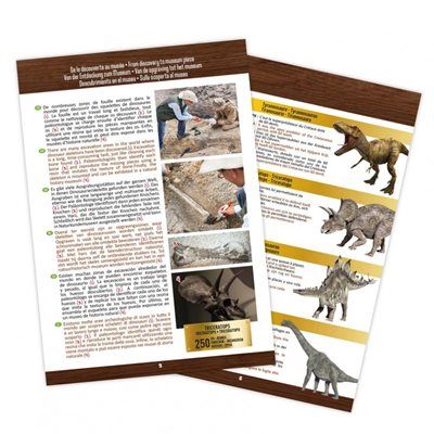 ���� ���������� - ������� ��������� ���� ���� ���� Buki France