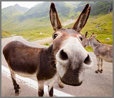 ���� ��� �������� �������� ���� ���� ���� Buki France