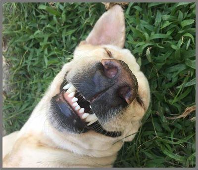 ���� ��� �������� �������� ���� ���� ���� Buki France