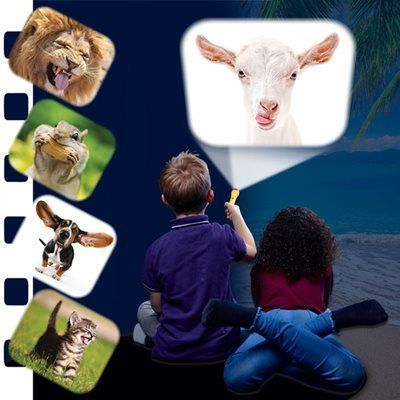 ���� ��� �������� �������� ���� ���� ���� Buki France