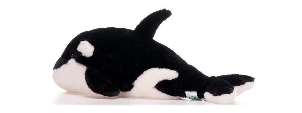 ������ ���� ���� ����� ����� ������ Eco earth