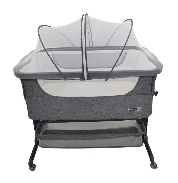 ����� ������ ����� ����� ��� SHAVIT ���� | ����� ��- ���� ���