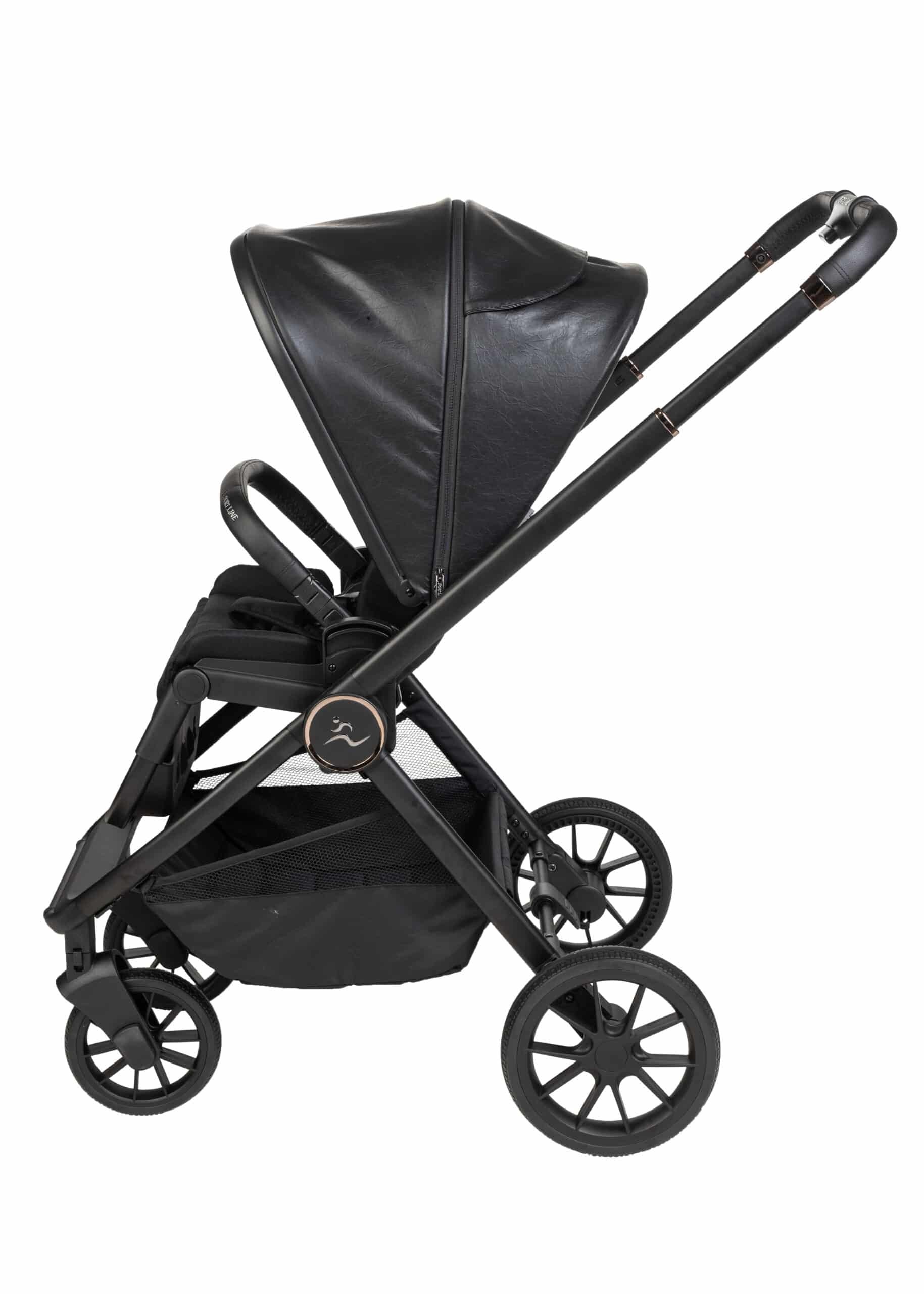 CIELO PRO 2023 Sport-Line - ��� ����