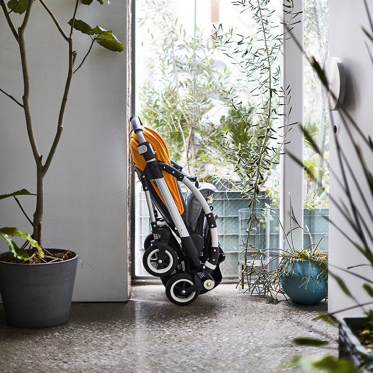 ����� �� 5- bugaboo bee 5- ��� ���� �����+����