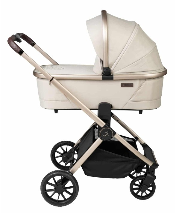 Sport line  CIELO PRO 2024- ����� ���� ����� ��� -���� ���� ���