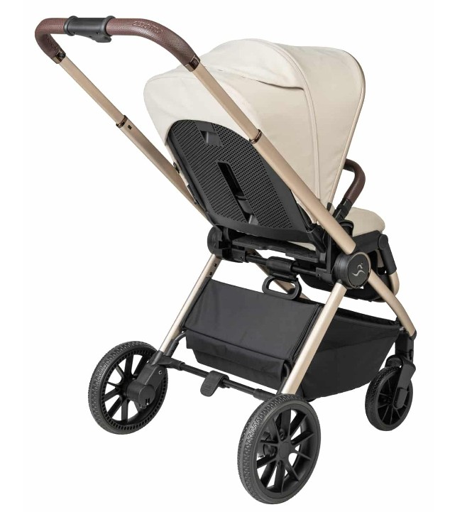 Sport line  CIELO PRO 2024- ����� ���� ����� ��� -���� ���� ���