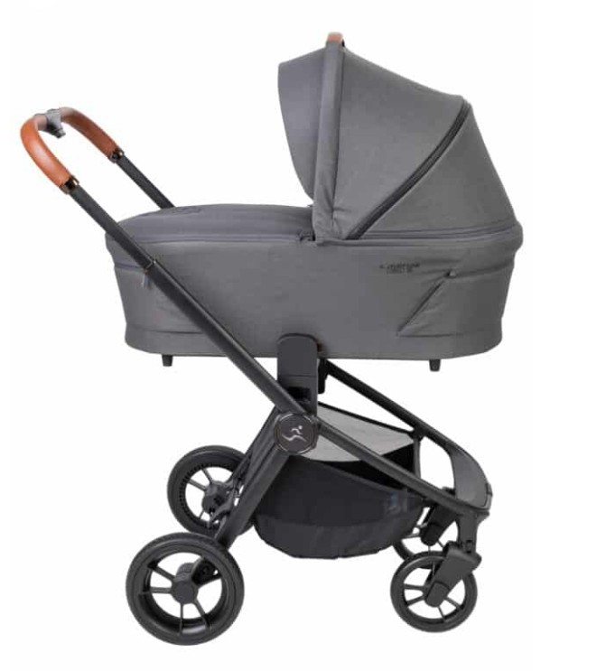 Sport Line-Cielo XL- ����� ���� ����� ���� 2024- ���� ���� ���