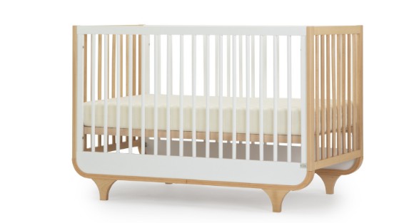 ���� ����-  SEGAL BABY