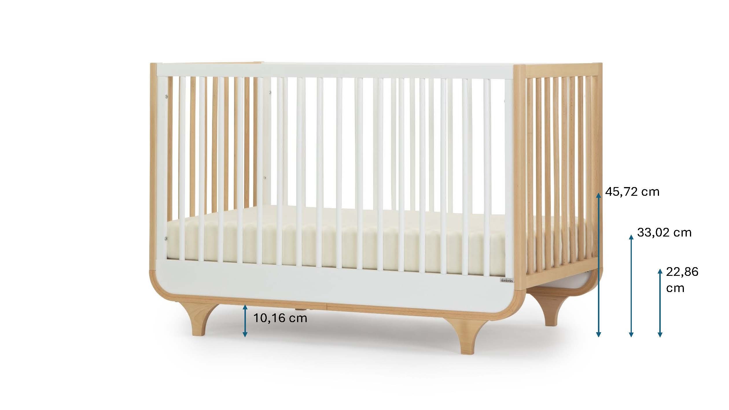 ���� ����-  SEGAL BABY