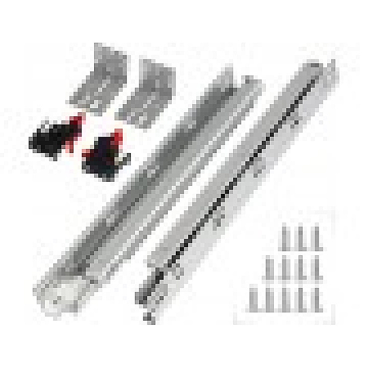 ���� ����� ������ ������ ���������